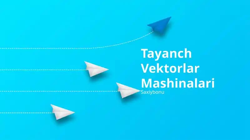 Tayanch Vektorlar Mashinalari