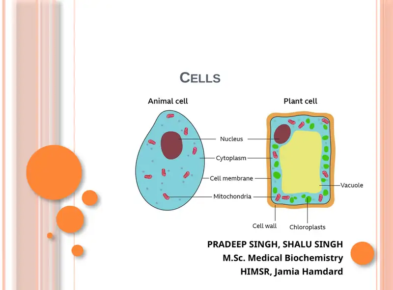 Cells