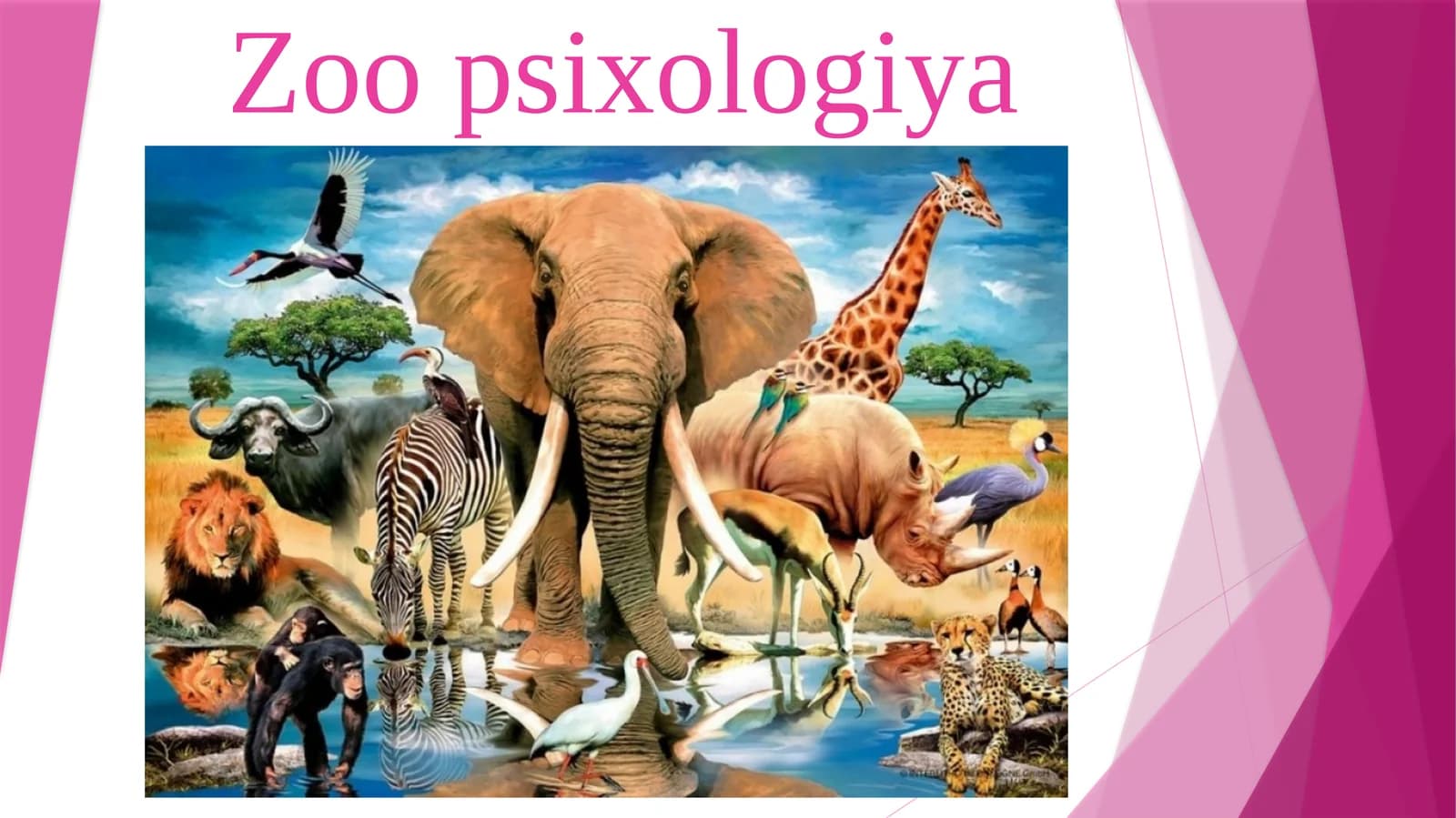 Zoopsixologiya