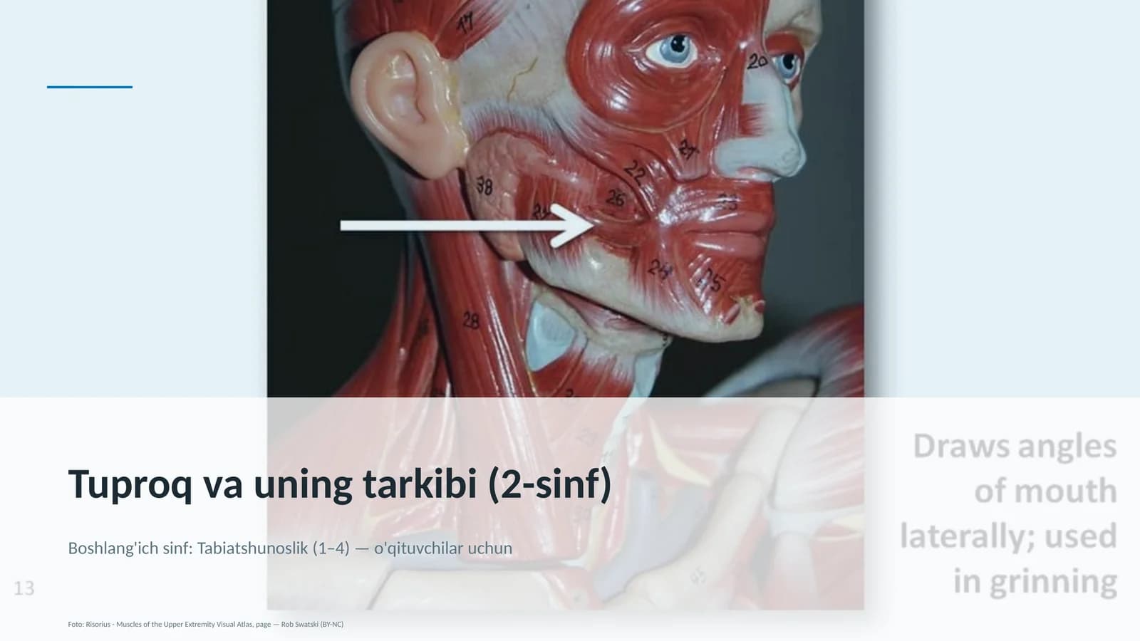 Tuproq va uning tarkibi (2-sinf)