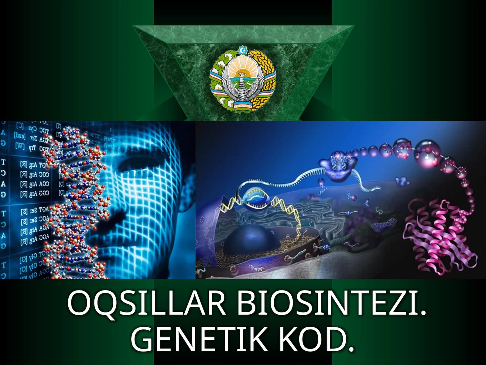 Oqsillarbiosintezi mavzusi boyicha qo'llanma