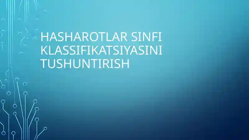 kuzatuv natijalar jadvali