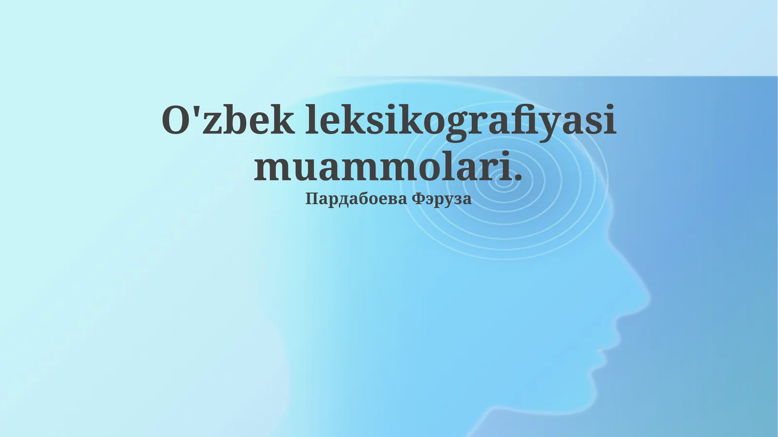 O'zbek leksikografiyasi muammolari