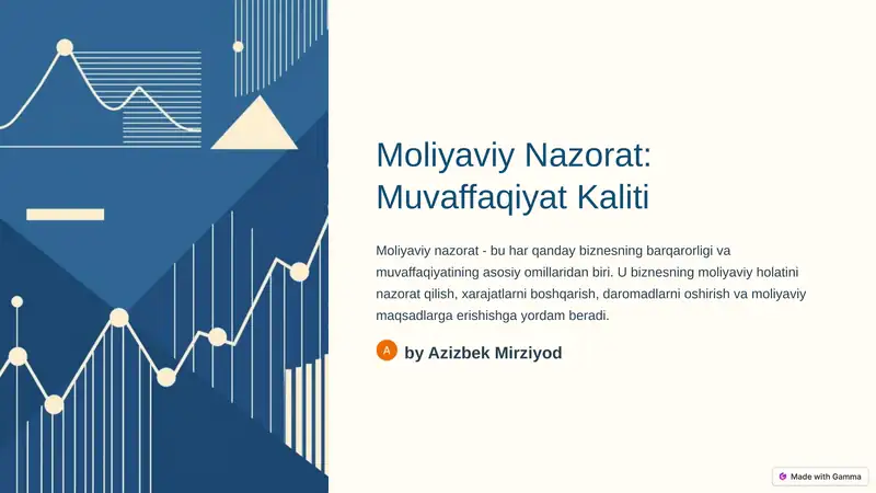 Moliyaviy Nazorat