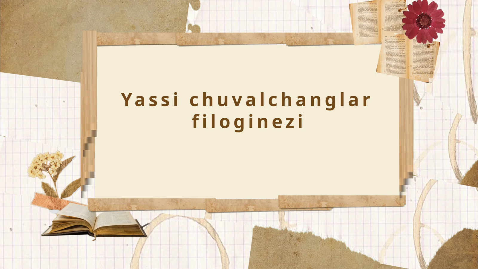 Yassi Chuvalchanglar Filogenezi
