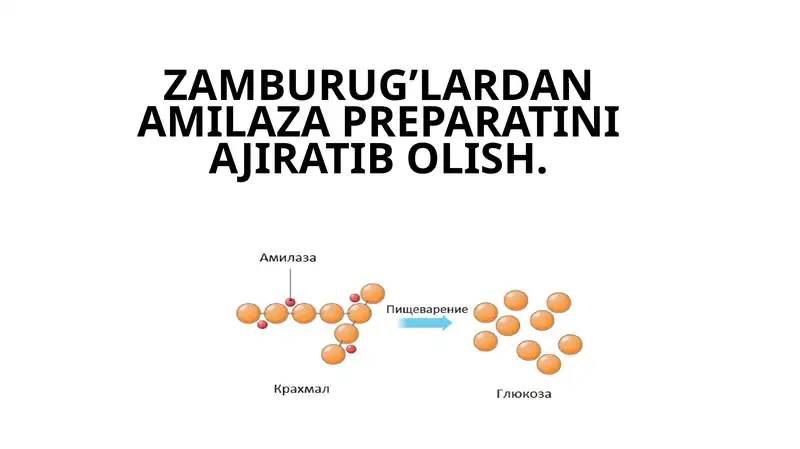 Amilaza preparati