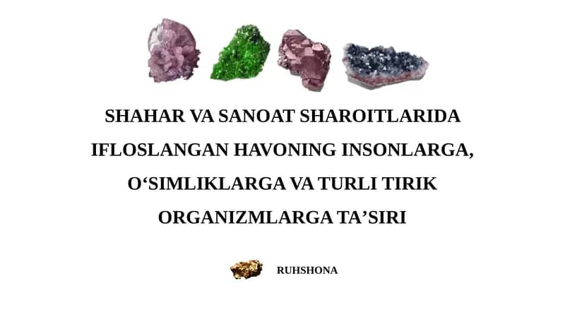 meniral resurslar