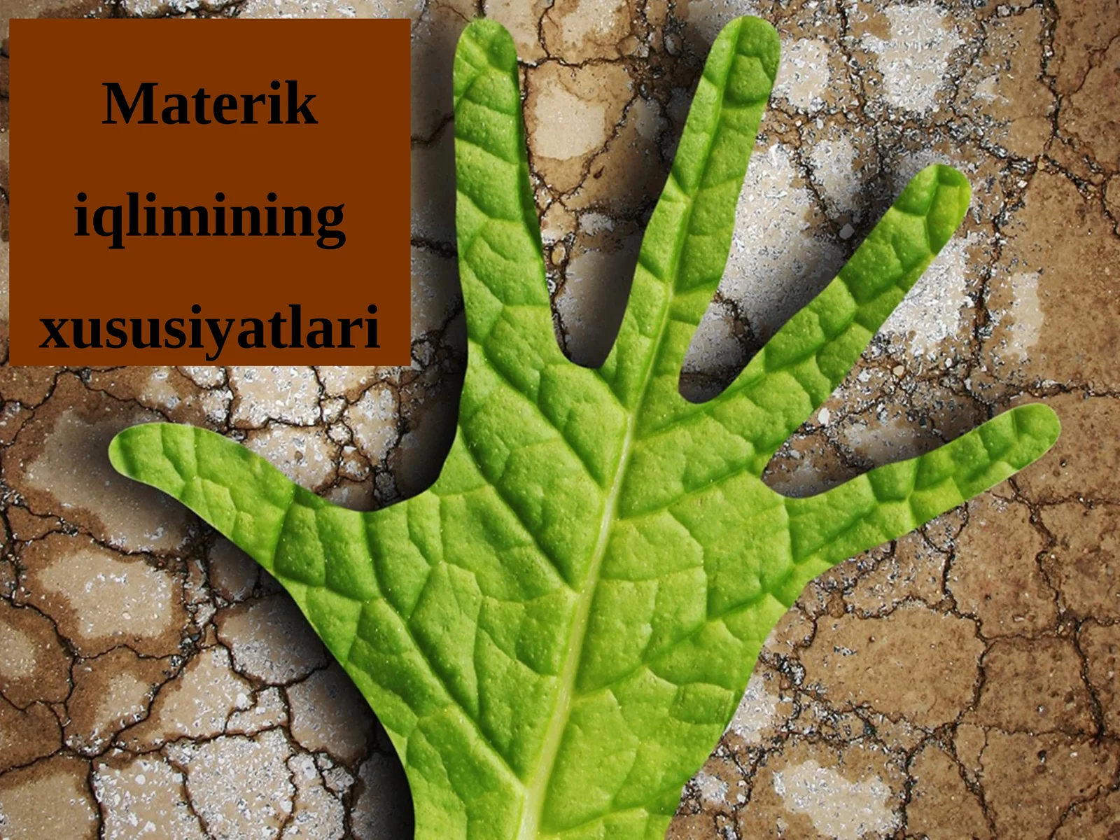 Materik iqlimining xususiyatlari