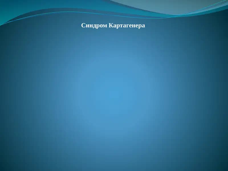 Синдром Картагенера