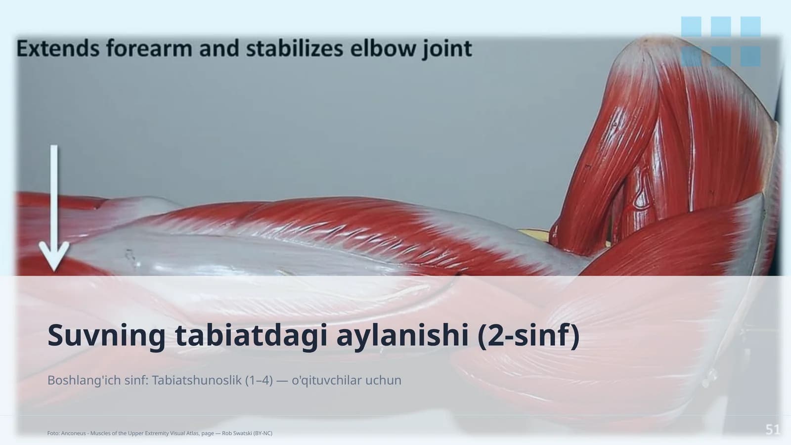 Suvning tabiatdagi aylanishi (2-sinf)