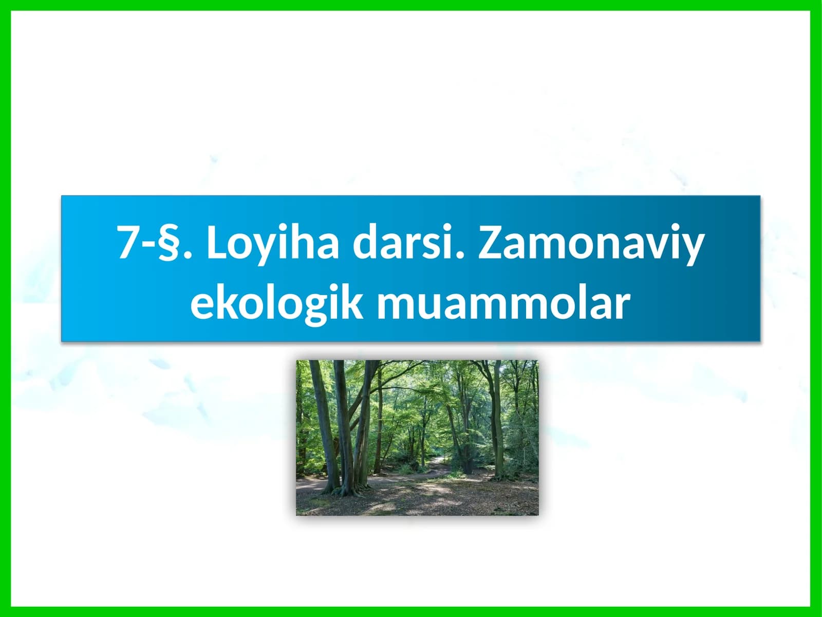 Loyihadarsi. Zamonaviy ekologik muammolar