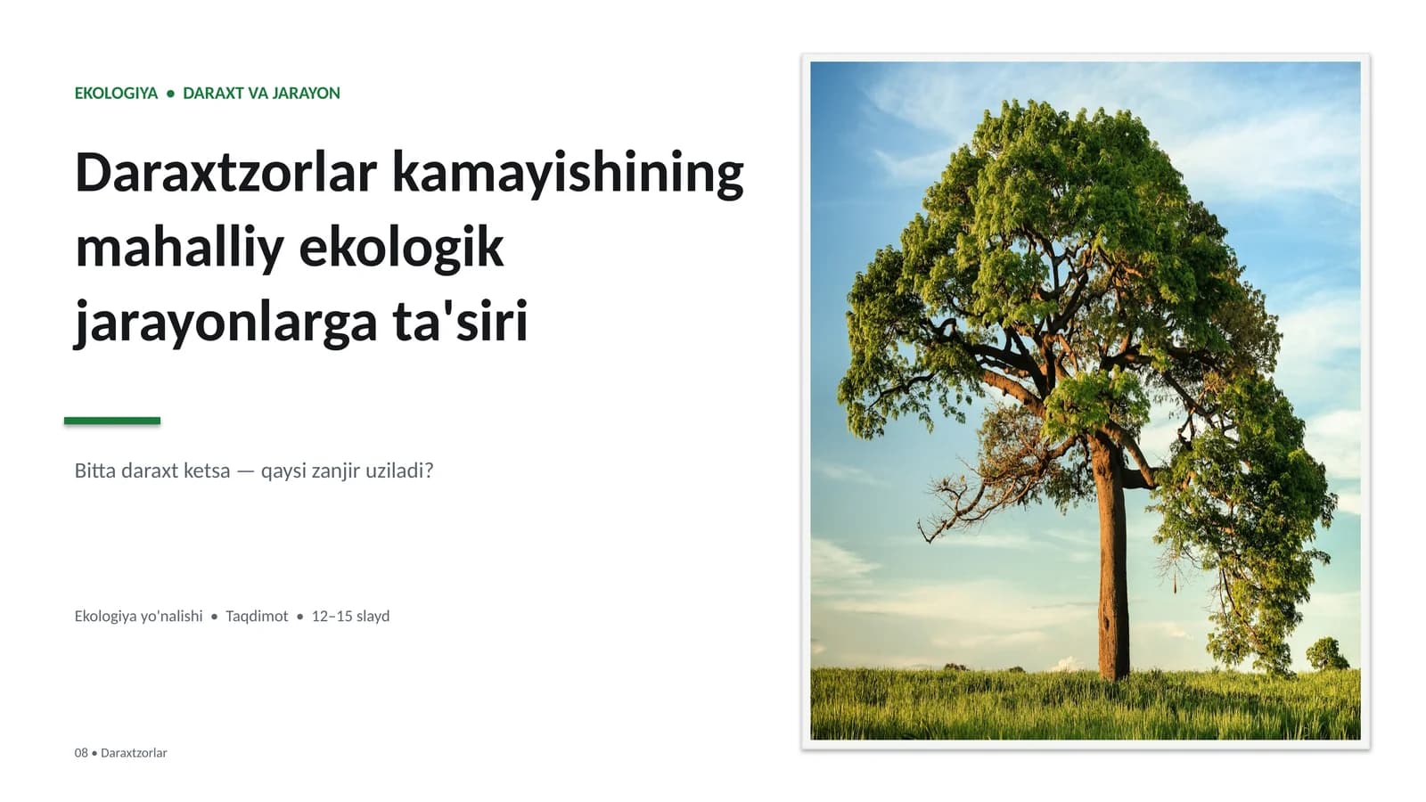 Ekologiya • Daraxt va jarayon