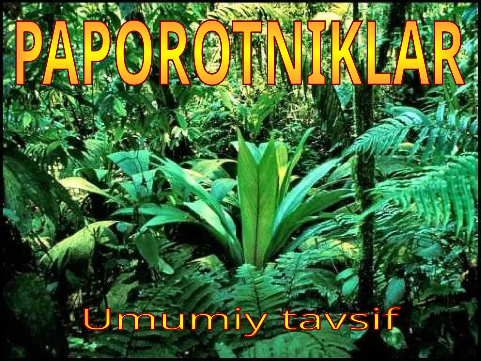 PAPOROTNIKLAR