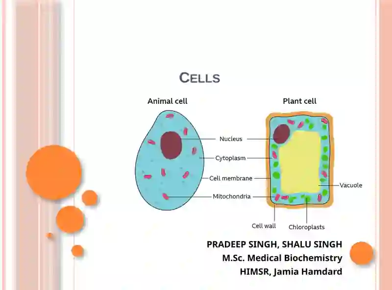 Cells