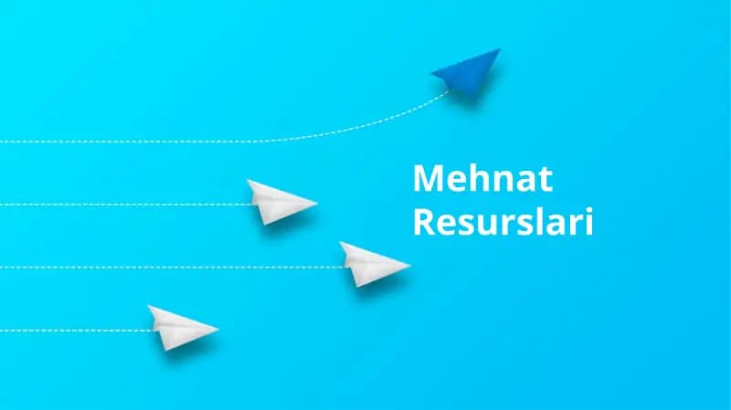 Mehnat Resurslari
