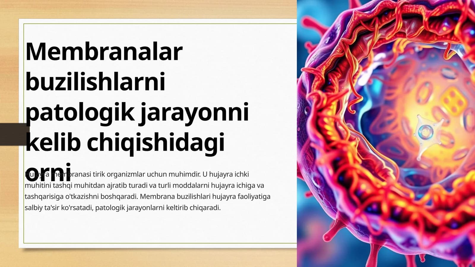 Hujayra Membranasi