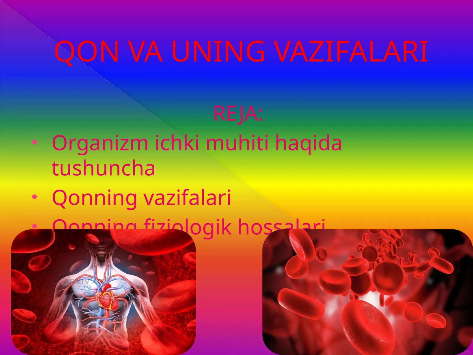 QON VA UNING VAZIFALARI 8-sinf biologiya