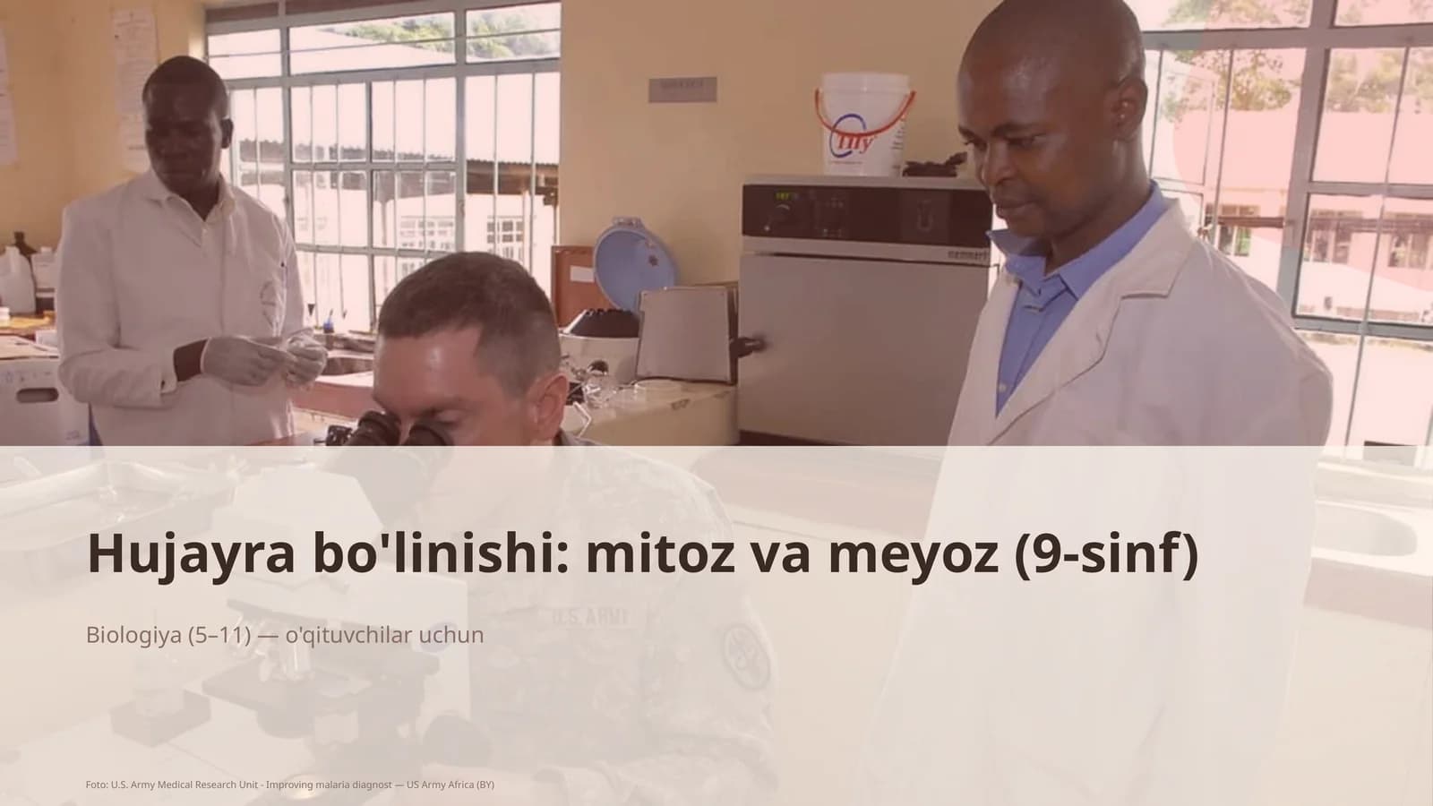 Hujayra bo'linishi: mitoz va meyoz (9-sinf)