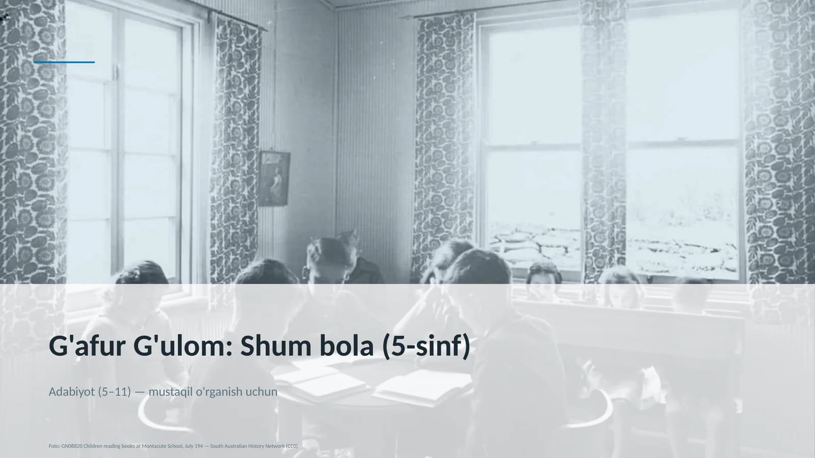 G'afur G'ulom: Shum bola (5-sinf)