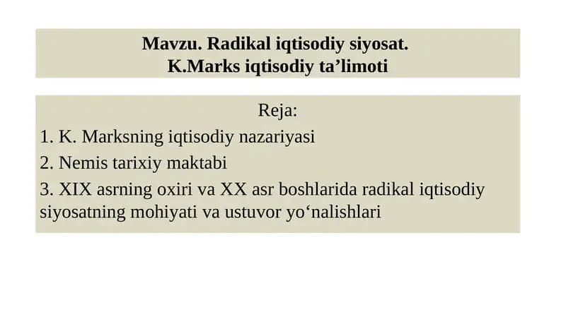 Radikal iqtisodiy siyosat