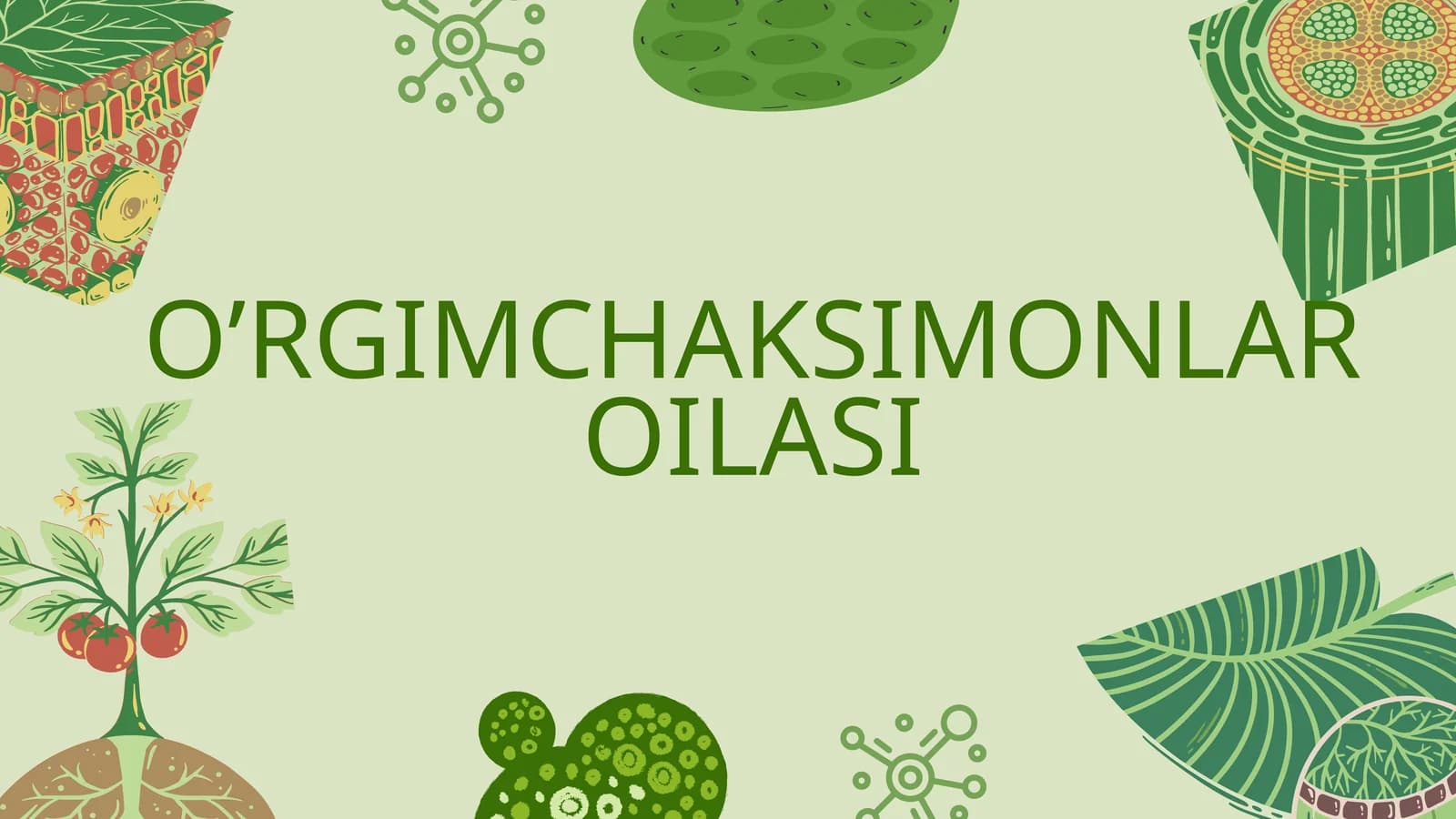 O'RGIMCHAKSIMONLAR OILASI