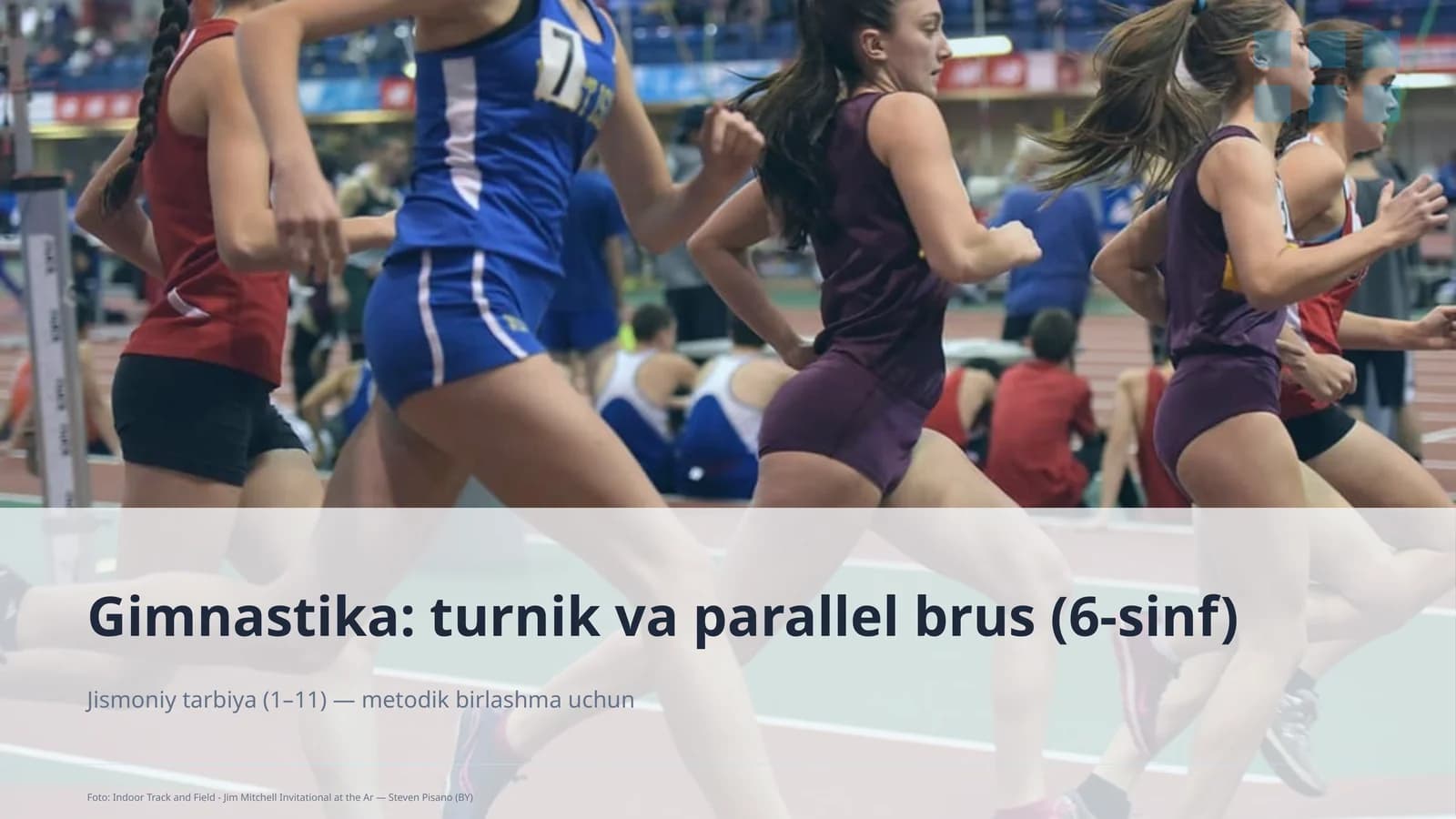 Gimnastika: turnik va parallel brus (6-sinf)