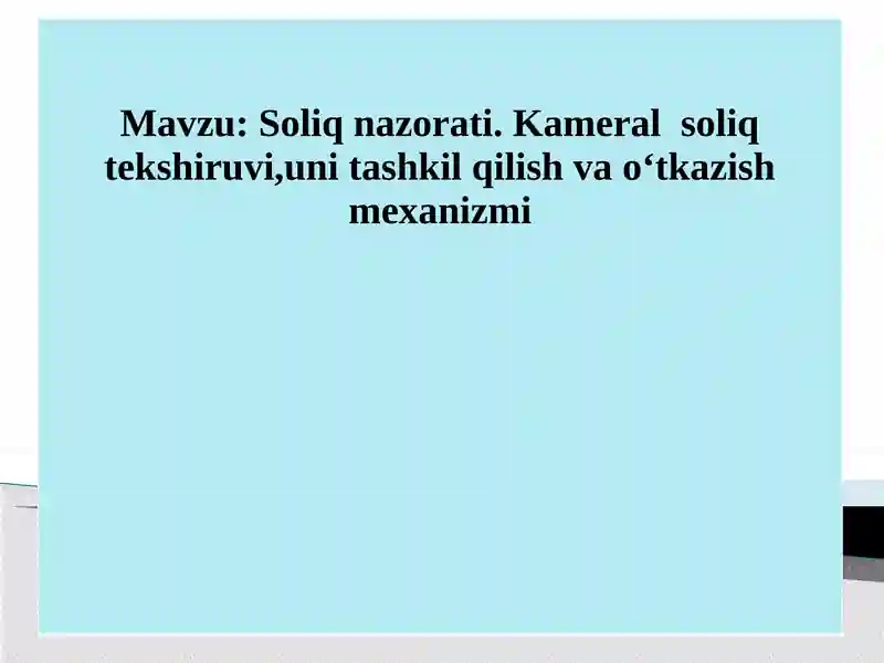 Soliq nazorati