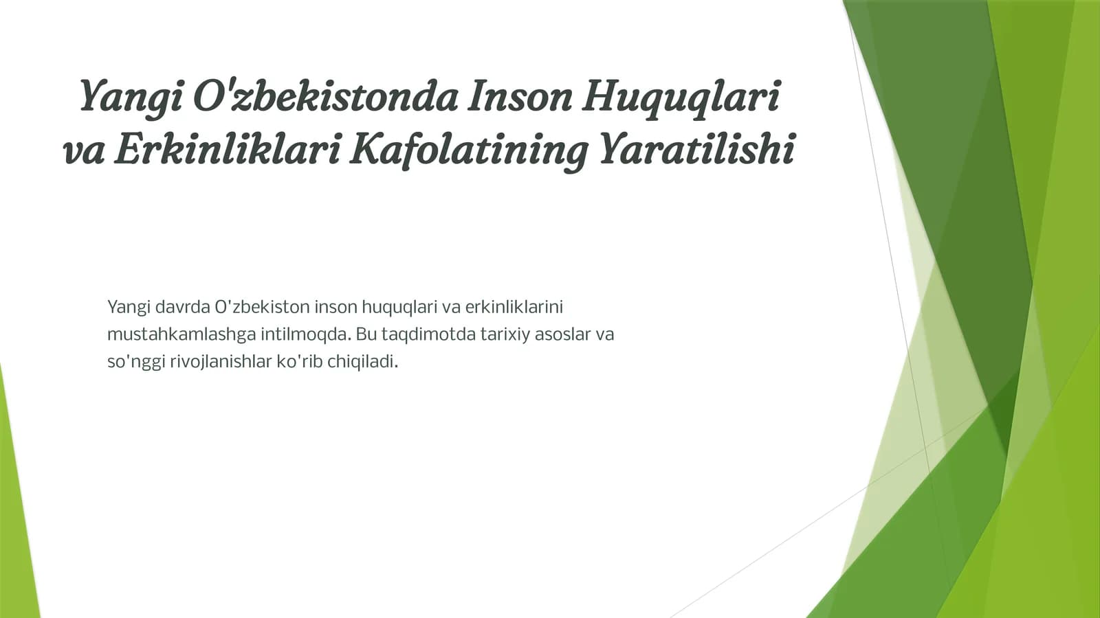 Yangi O'zbekistonda Inson Huquqlari va Erkinliklari Kafolatining Yaratilishi