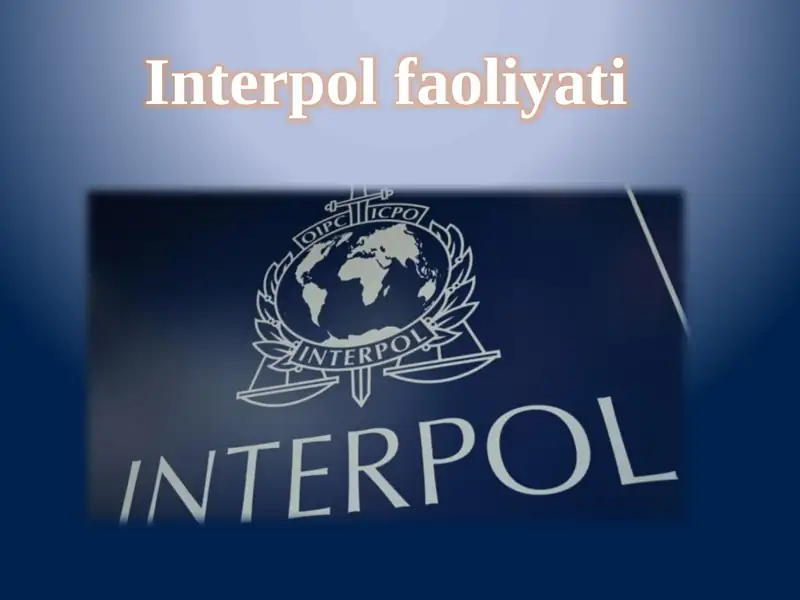 Interpol faoliyati
