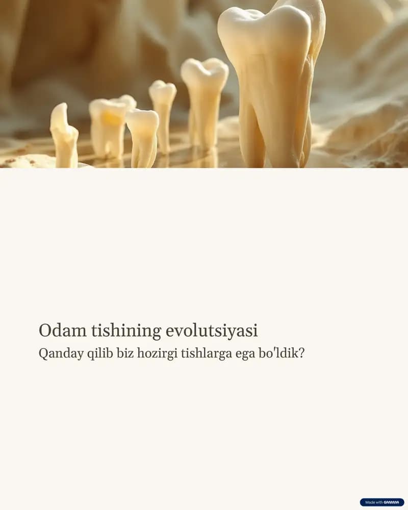 tish evolutsiyasi