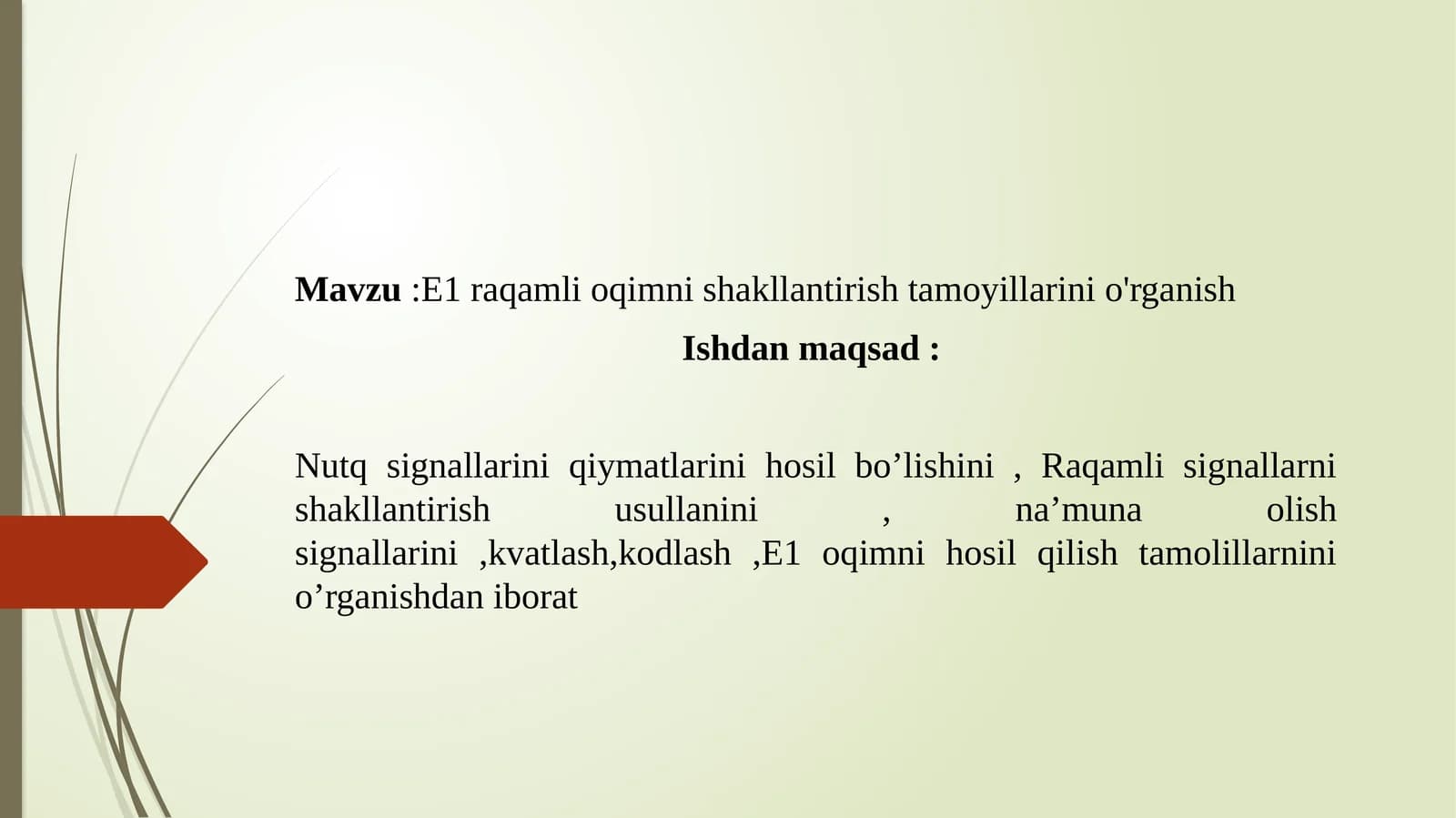 E1 raqamli oqimni shakllantirish tamoyillarini o'rganish