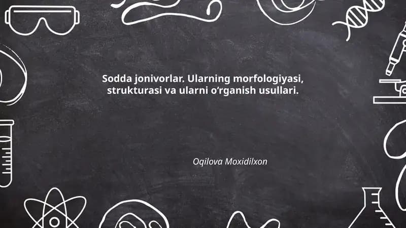 Sodda jonivorlar