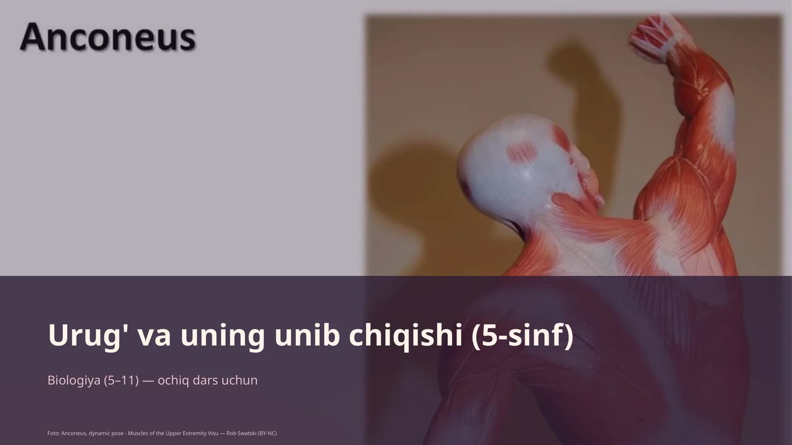 Urug' va uning unib chiqishi (5-sinf)