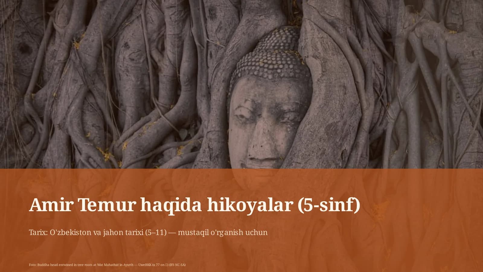 Amir Temur haqida hikoyalar (5-sinf)