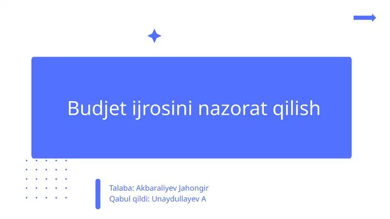 Budjet ijrosining nazorat qilish