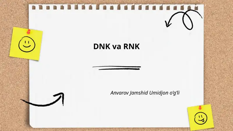 DNK va RNK