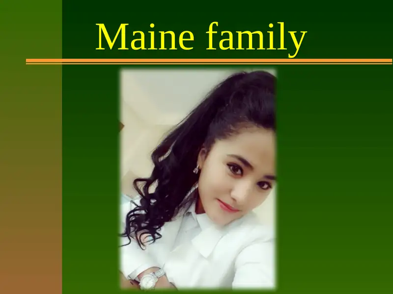 Maine family