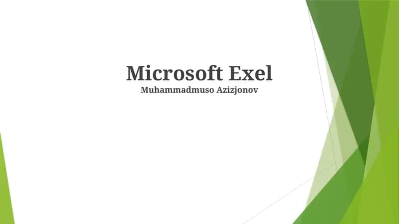 Microsoft Exel