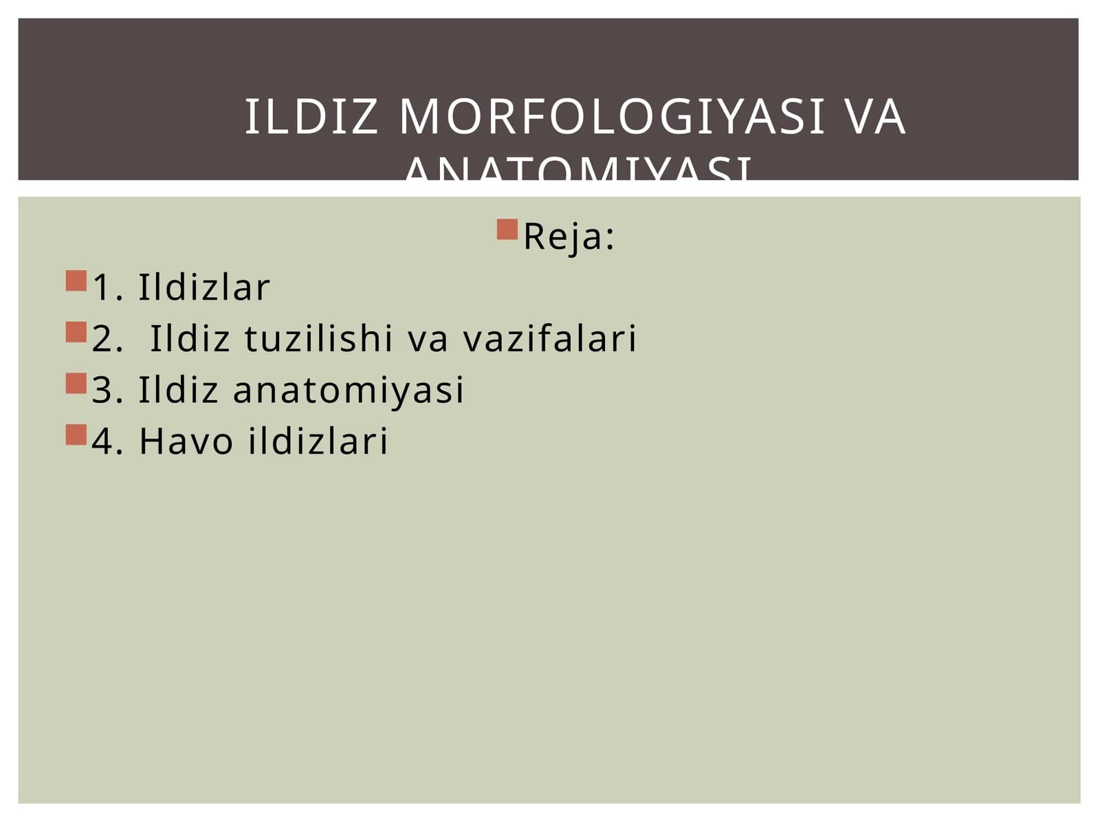 Ildizlar