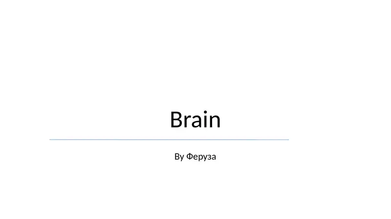 Brain