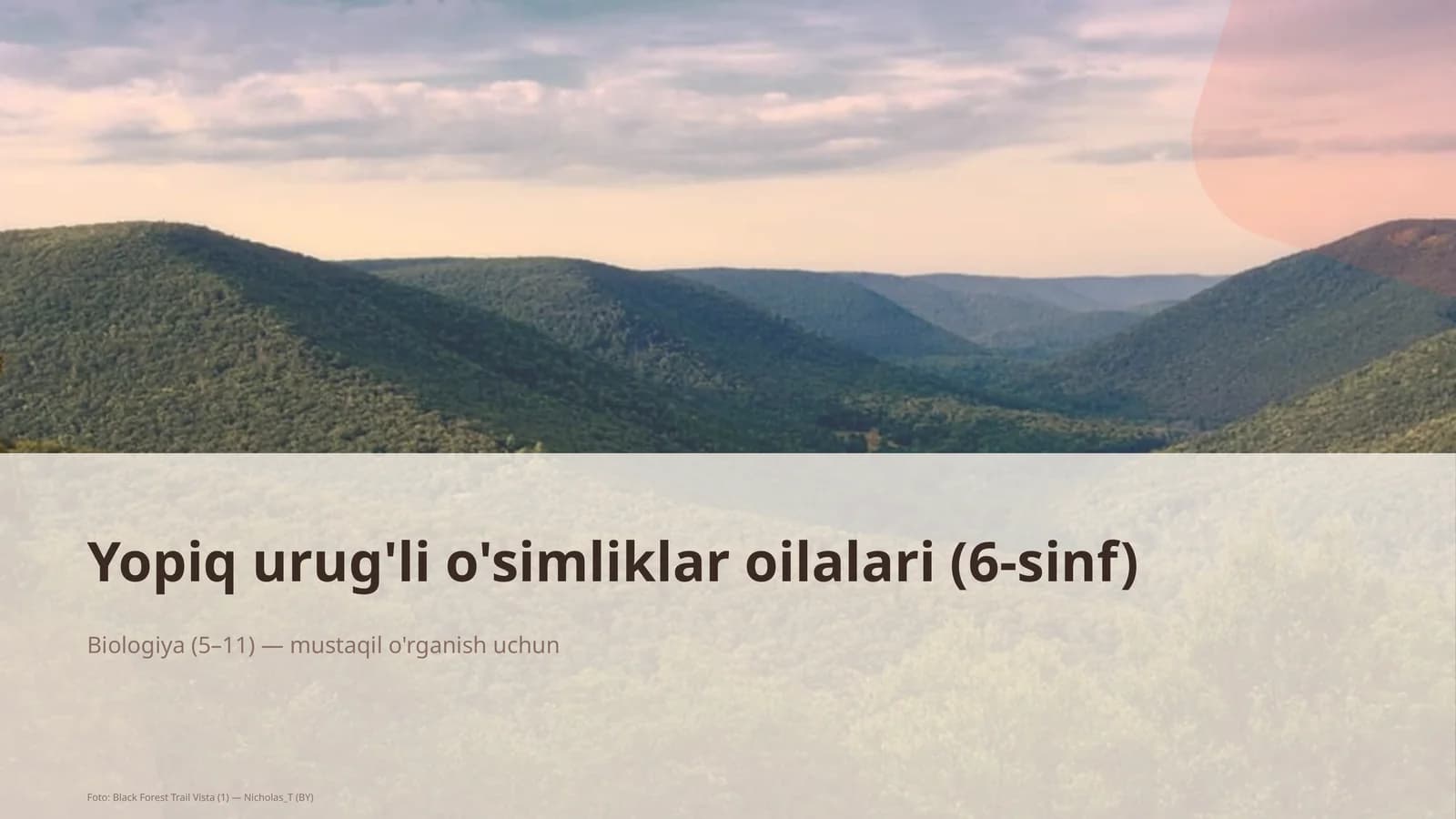 Yopiq urug'li o'simliklar oilalari (6-sinf)