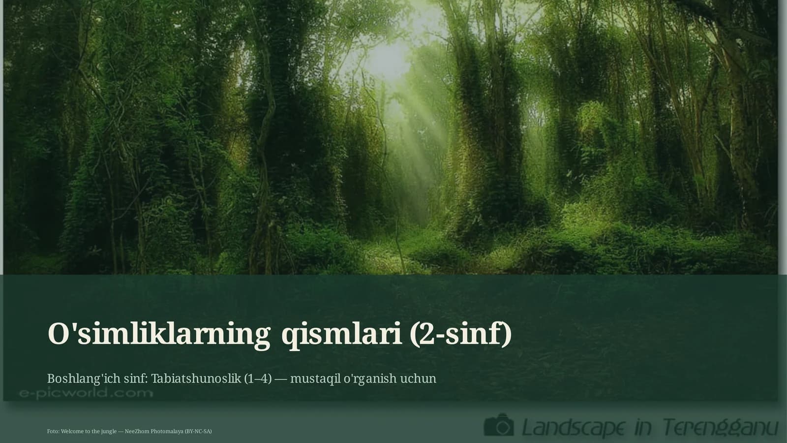 O'simliklarning qismlari (2-sinf)