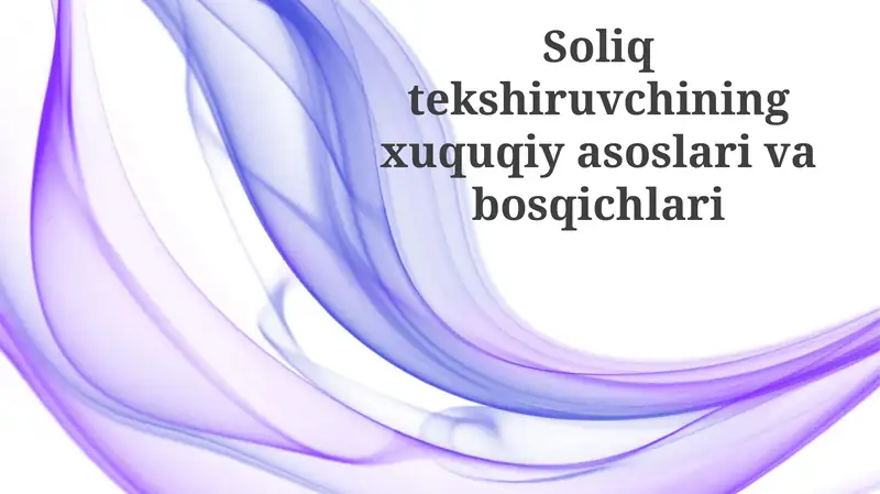 Soliq tekshiruvi