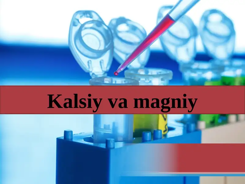 Kalsiyvamagniy