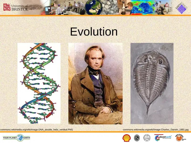 Evolution