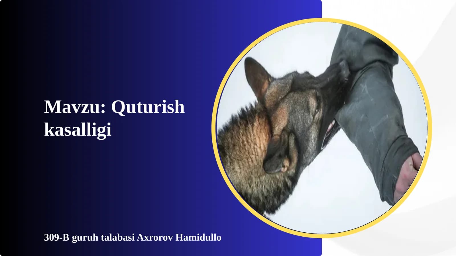 quturish kasalligi