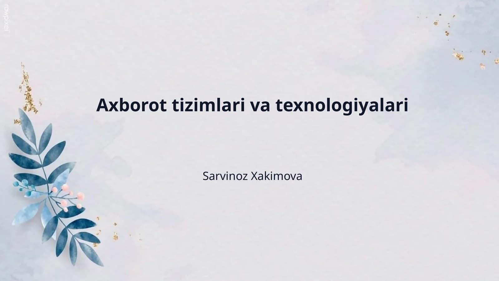 Axborot tizimlari va texnologiyalari