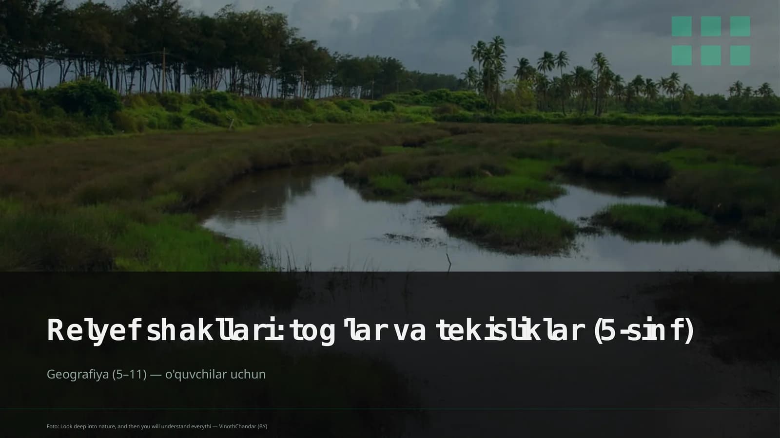Relyef shakllari: tog'lar va tekisliklar (5-sinf)