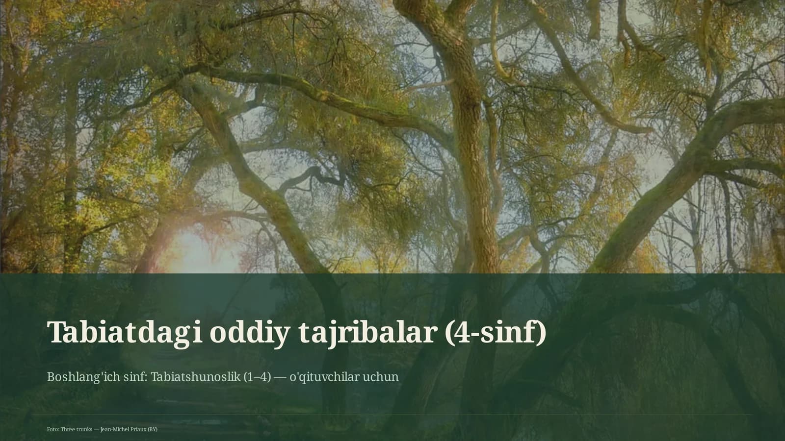Tabiatdagi oddiy tajribalar (4-sinf)