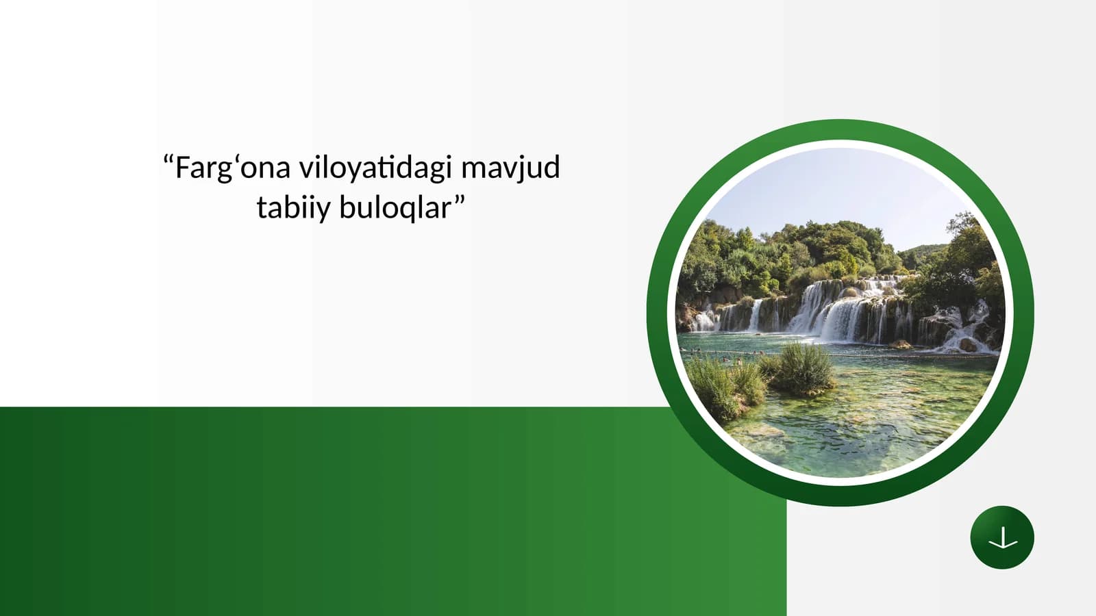 FARG‘ONA VILOYATIDAGI TABIIY BULOQLARNING SHAKLLANISH GEOGRAFIYASI VA TURLARI